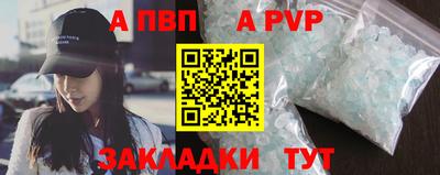 СК Бердск