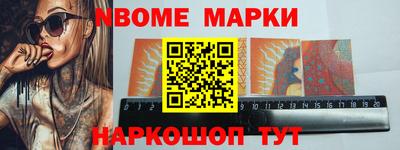 СК Бердск