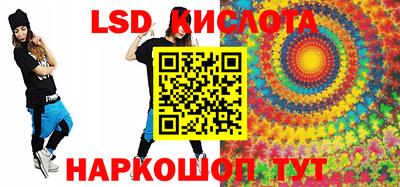 СК Бердск