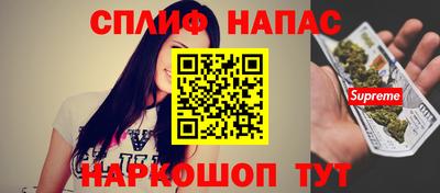СК Бердск