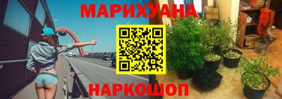 СК Бердск