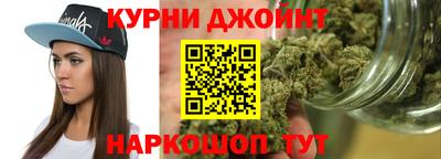 СК Бердск