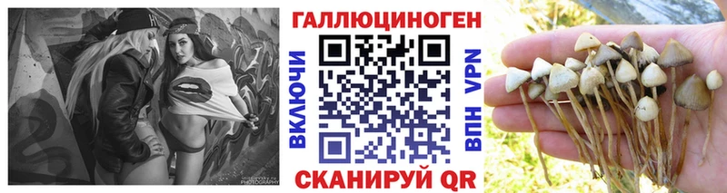 что такое наркотик  Богородицк  MEGA tor  Псилоцибиновые грибы Psilocybe 