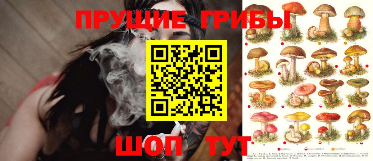 Псилоцибиновые грибы прущие грибы  Вход с VPN  Богородицк 