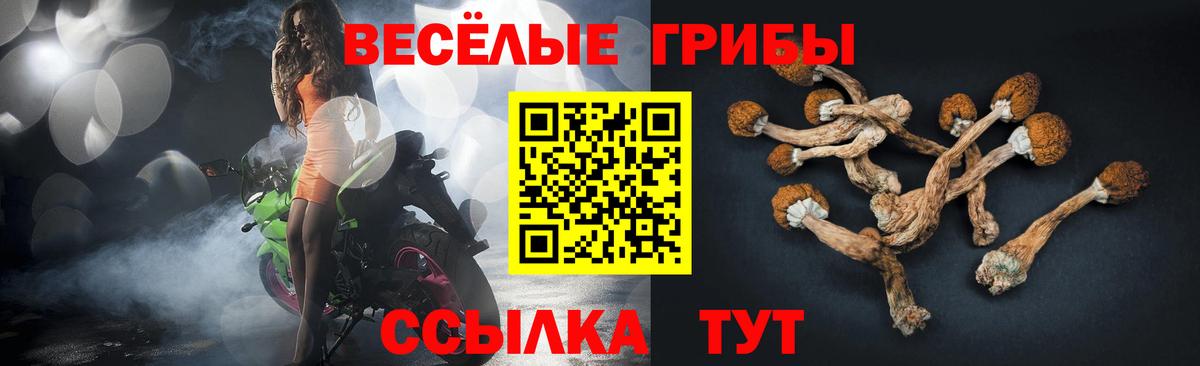 Галлюциногенные грибы MAGIC MUSHROOMS Богородицк